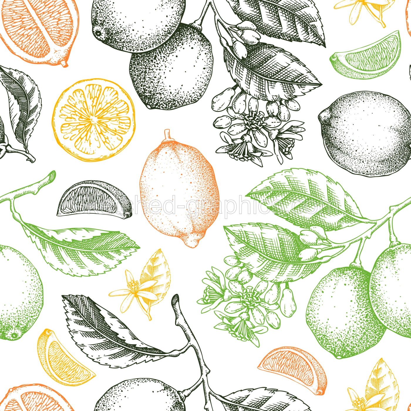Citrus fruit seamless pattern. Lime fruit, branch, flower sketches in color. Botanical background. Exotic plants texture. Hand drawn vector illustration. NOT AI generated Illustration
